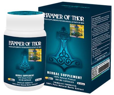 Hammer of thor asli Hammer of thor asli