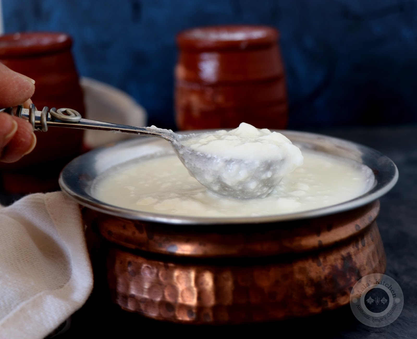 Homemade CurdsDahiThayir (Basic Cooking) MalasKitchen