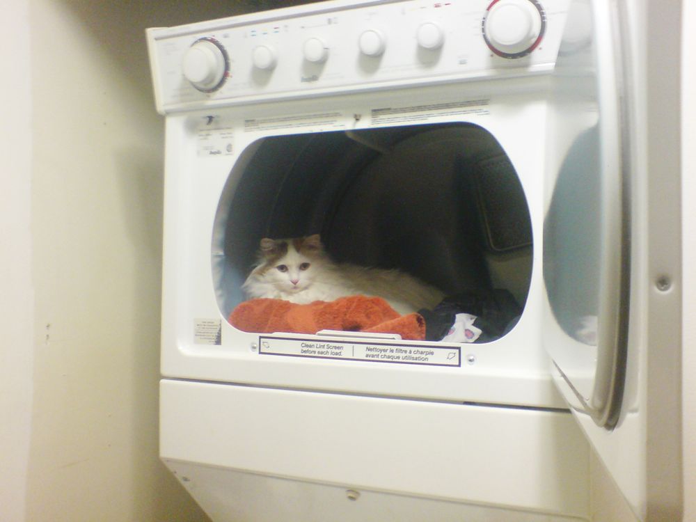 Vee+Dee at Home Moving is Fun!!!