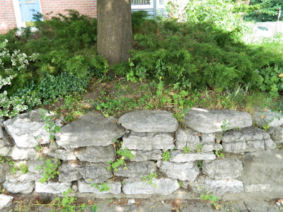 Riverdale Summer Garden Cleanup Before Paul Jung Gardening Services--a Toronto Gardening Company Riverdale Summer Garden Cleanup Before Paul Jung Gardening Services--a Toronto Gardening Company