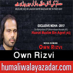 http://www.humaliwalayazadar.com/2015/04/own-raza-rizvi-nohay-2013-to-2016.html