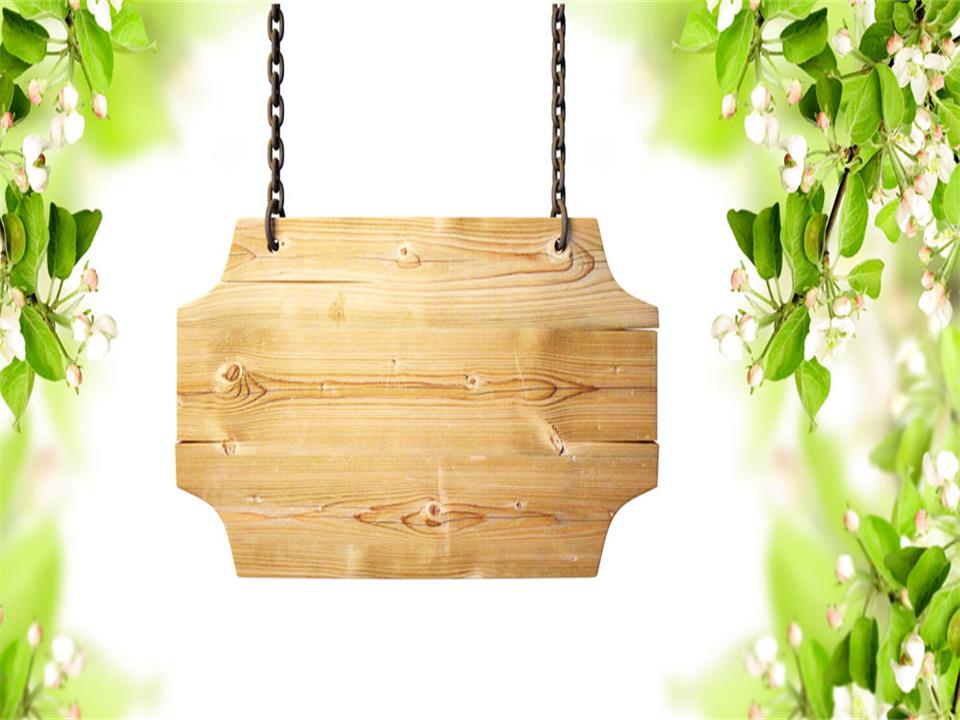 Green leaf and wood grain PPT background Green leaf and wood grain PPT background