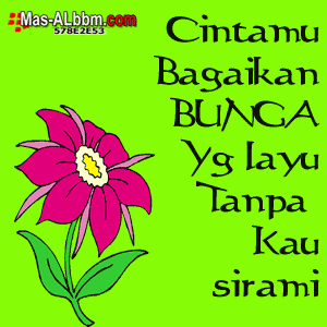 Gambar Animasi Dp Bbm Bunga Gambar Animasi Dp Bbm Bunga