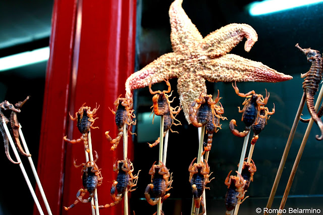 Scorpions, Starfish, and Seahorses at Wangfujing Snack Street Beijing China