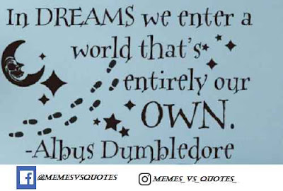 Best Harry Potter Quotes Dreams Entirely