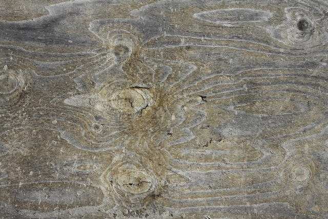 Wood, Old, Plank, Texture, 3888 x 2592