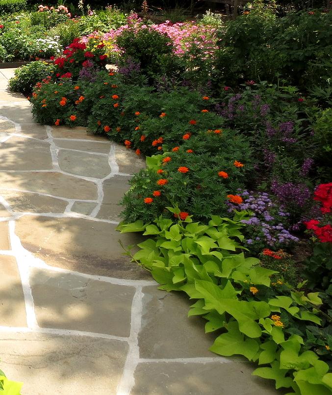 The OtHeR HoUsToN: GREAT BUNGALOW GARDEN IDEAS The OtHeR HoUsToN: GREAT BUNGALOW GARDEN IDEAS on Bungalow Backyard Ideas id=49713