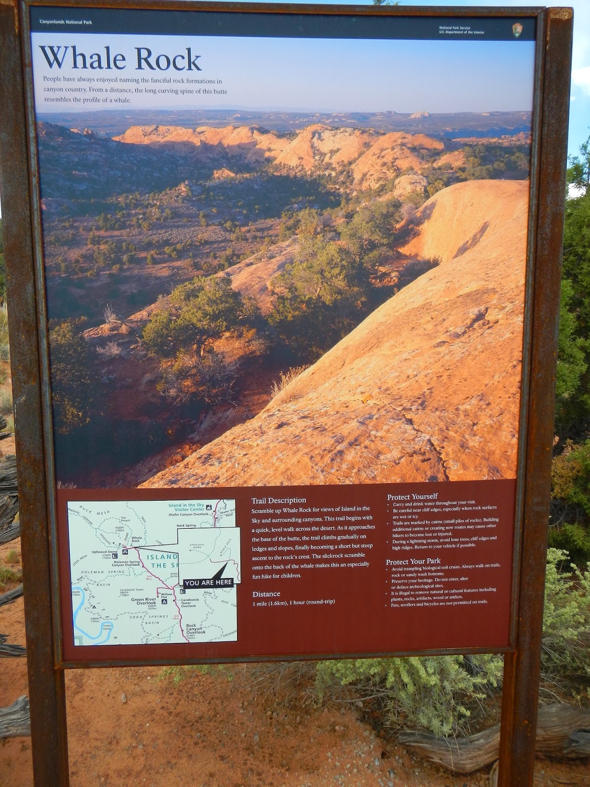 The Southwest Through Wide Brown Eyes: Islands in the Sky - Part Two
