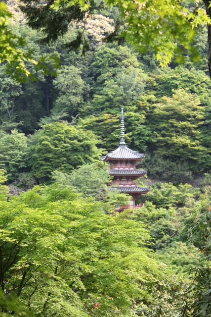 Mimurotoji Temple Uji