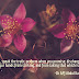 Happy New Year 2017 - Dr APJ Abdul Kalam Quotes Wallpaper