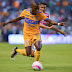 Tigres vs. León en Cuartos de Final