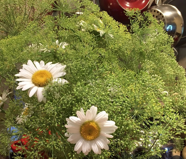 Masses of dill await a culinary fate. Masses of dill await a culinary fate.