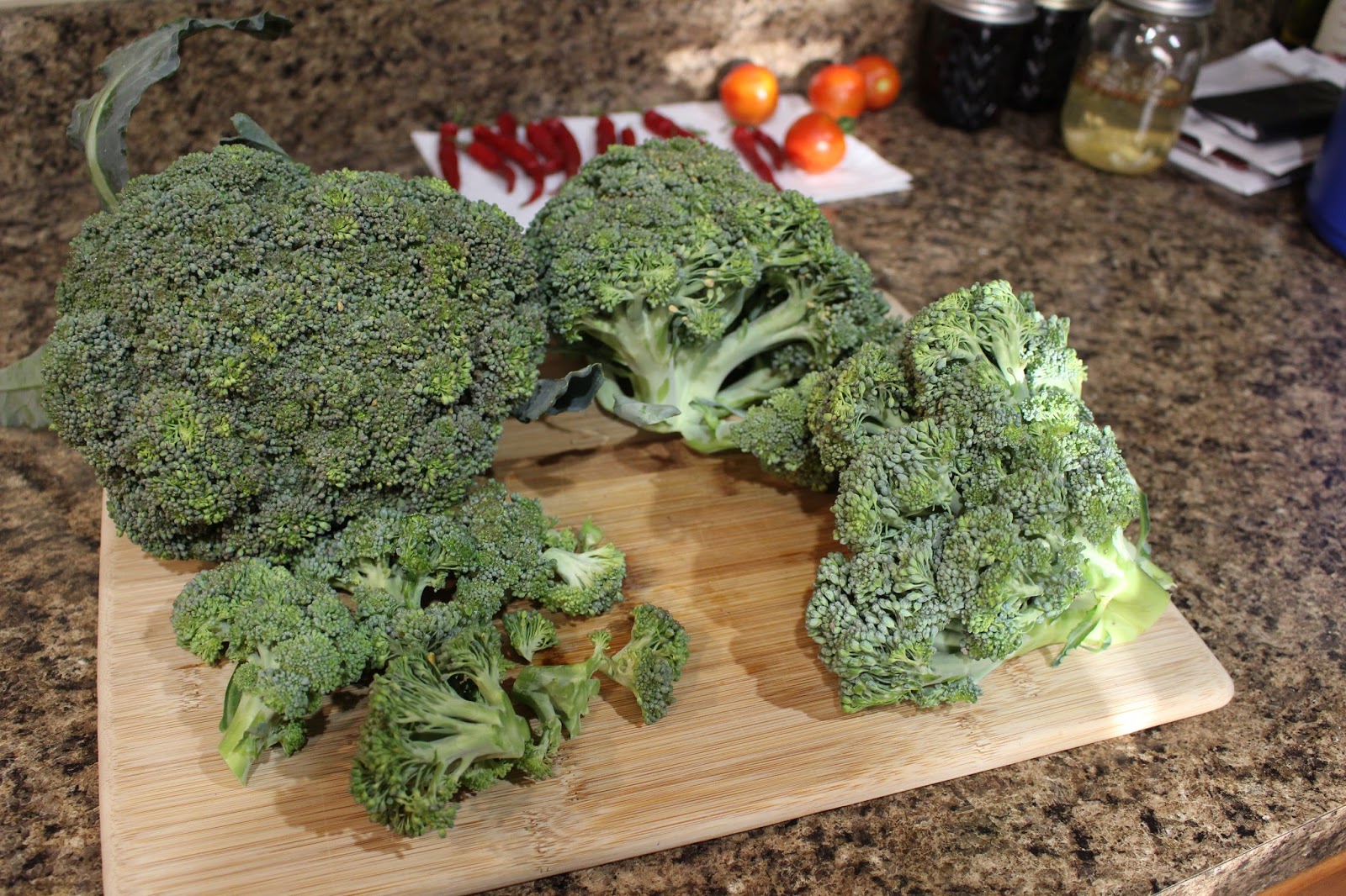 Millennial Homestead How to Freeze Broccoli from the Garden