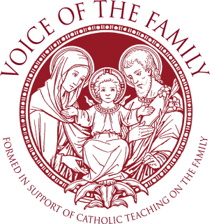 Lectures et analyses de l'exhortation sur la famille : “Amoris laetitia” Voice-of-the-Family-logo--768x818