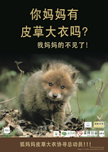No Fur China Campaign