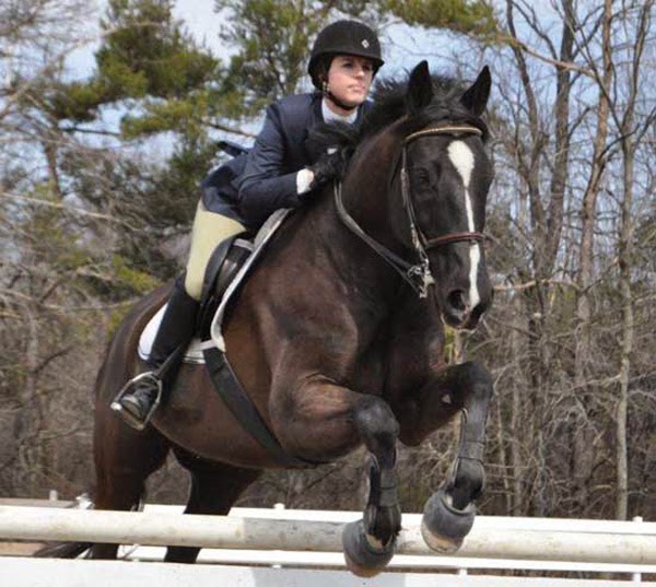 Vitafloor USA How an Equestrian Kick wall protects The Horse from Injuries