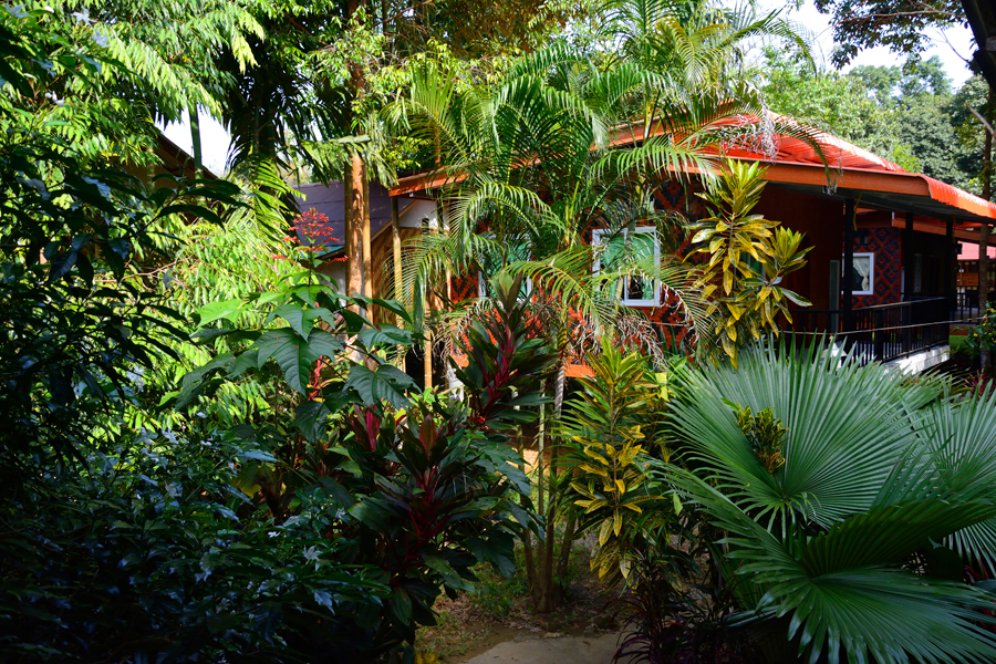 park khao sok, tajlandia park khao sok, tajlandia