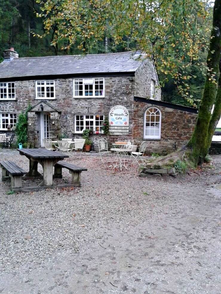 Woods Cafe Woods Cafe
