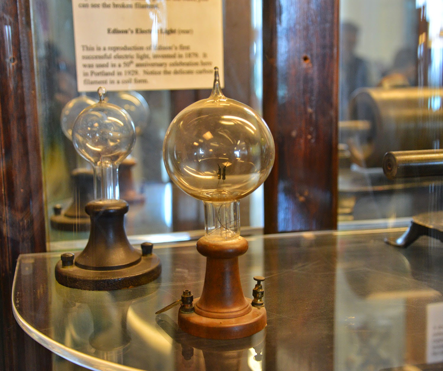 A school of fish Homemade Light Bulb