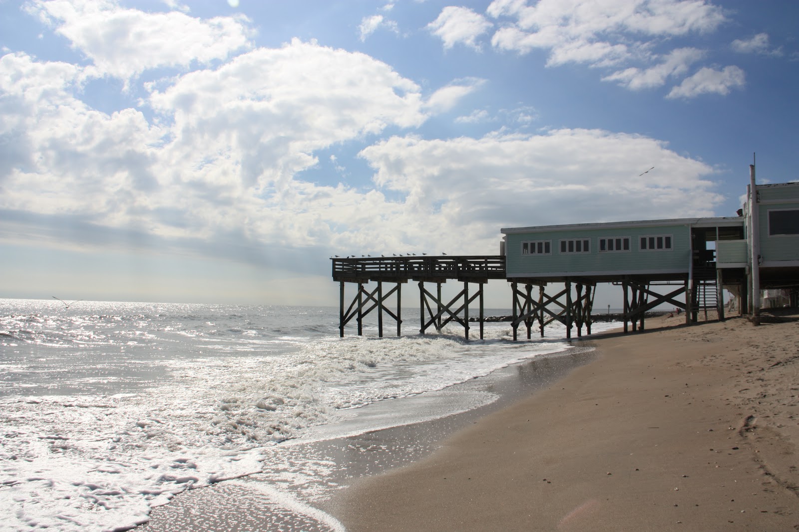 A is for Adventure Botany Bay on Edisto Island