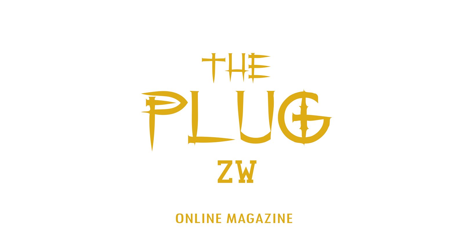 The Plug Zw