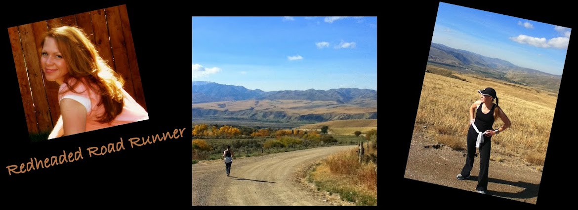 Redheaded Road Runner