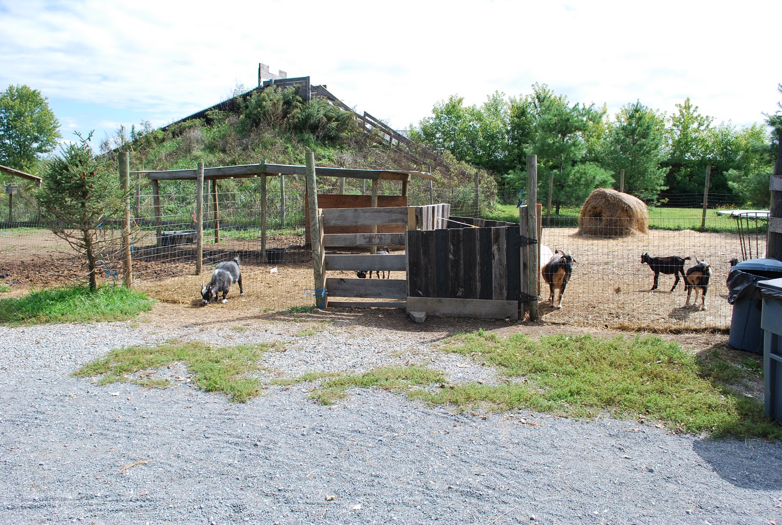 The Next Best Thing..... Great Country Farms in Bluemont, VA!