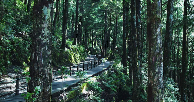 見晴懷古道
