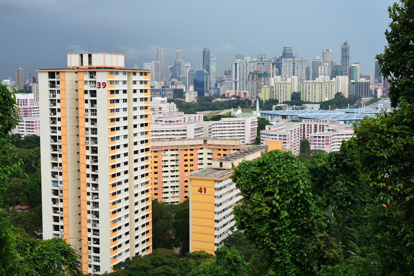 SG  Young Investment How To Buy A HDB  Flat For Singles 