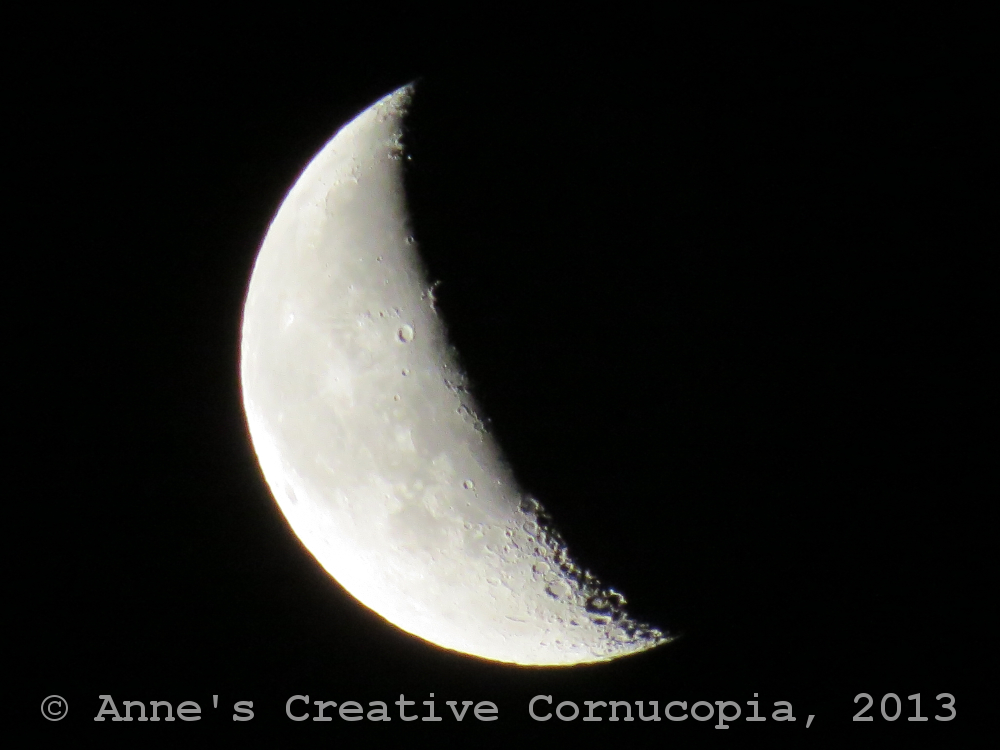 Anne's Creative Cornucopia: Half Moon - Photograph