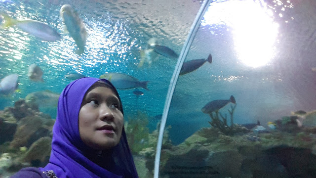PELANCARAN DAN PERASMIAN SCOTT'S DHA GUMMIES DI AQUARIA KLCC PELANCARAN DAN PERASMIAN SCOTT'S DHA GUMMIES DI AQUARIA KLCC