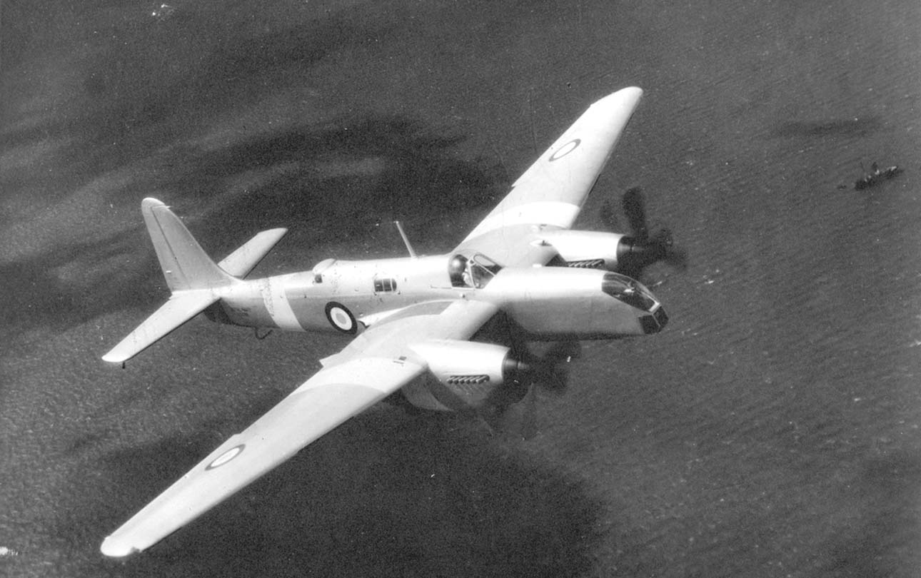 nhungdoicanh Short Sturgeon