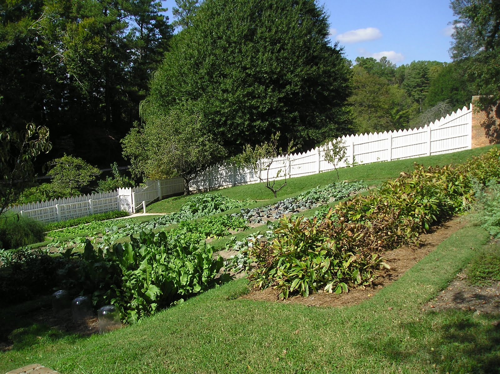 American Homestead: My Dream Garden American Homestead: My Dream Garden on My Dream Patio id=46685