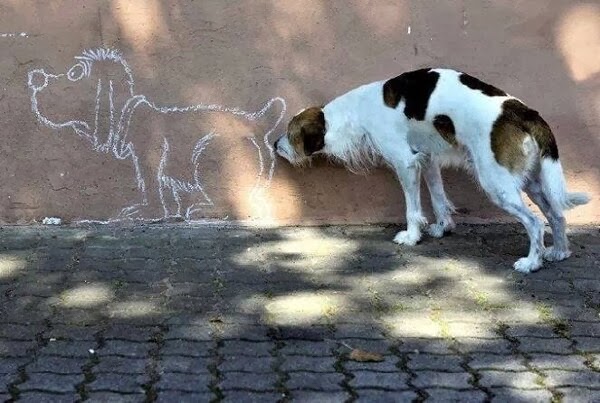 Cute dogs - part 8 (50 pics), funny dog sniffing dog picture on wall
