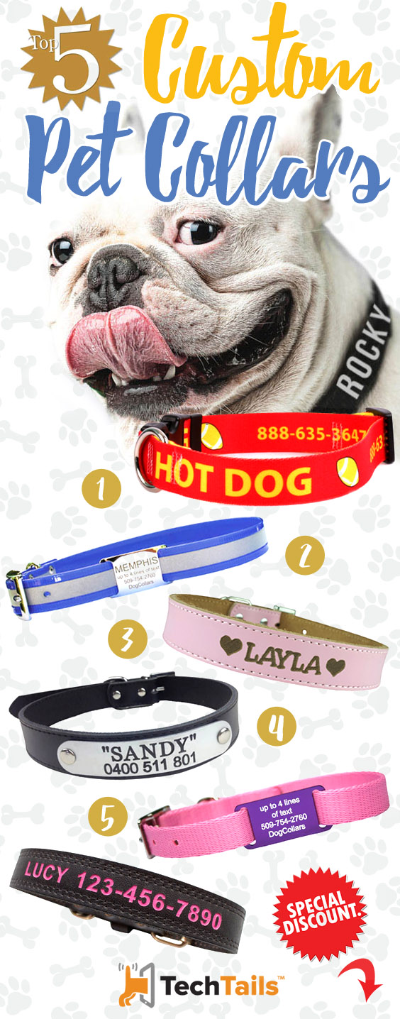 top-5-personalised-collars