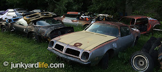 Although Hamilton does not considered the parts and project cars a part of his collection, if we counted you would find he owns more than 100 Firebirds and Trans Ams. 