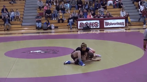 Men Wrestling Women: 2019