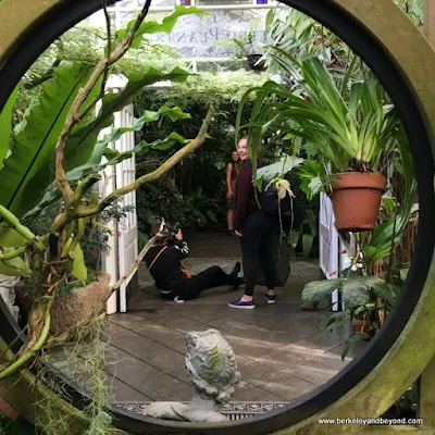 fashion photo shoot in Conservatory of Flowers in San Francisco, California
