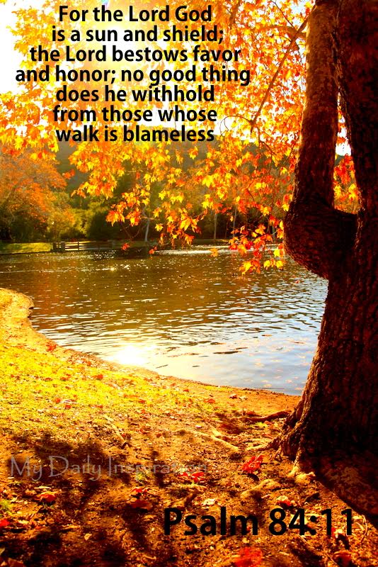 For the Lord God is a sun and shield