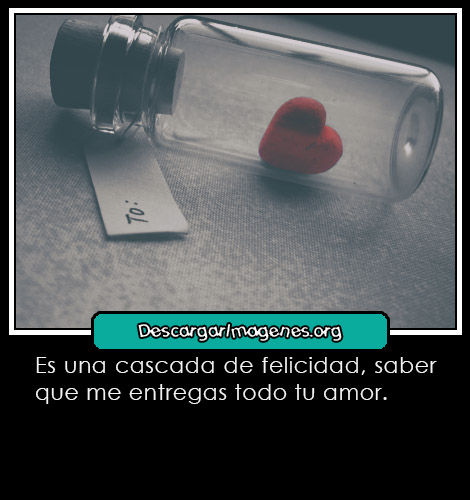 Cartelitos de amor hermosos.