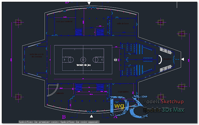 Sports Hall in AutoCAD 