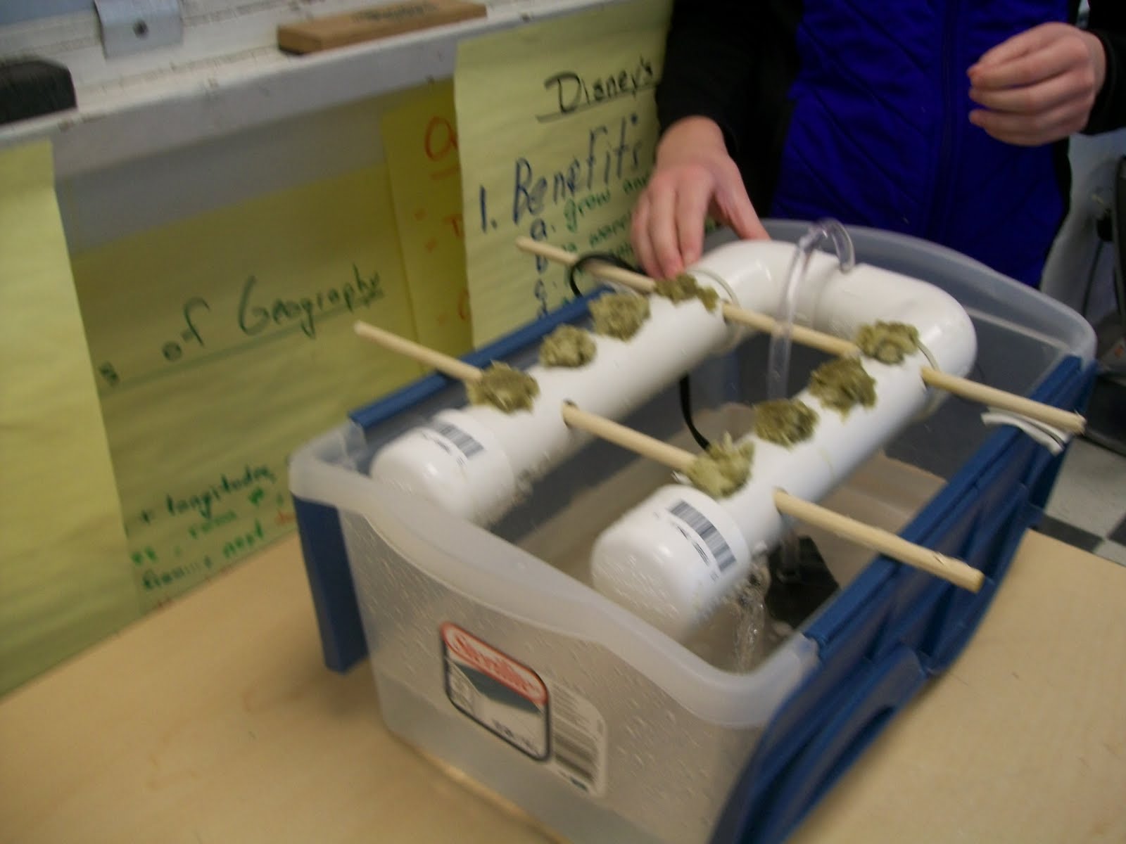 Ms. Tuttle's Blog Student ProjectsAmazing student engineering designs!