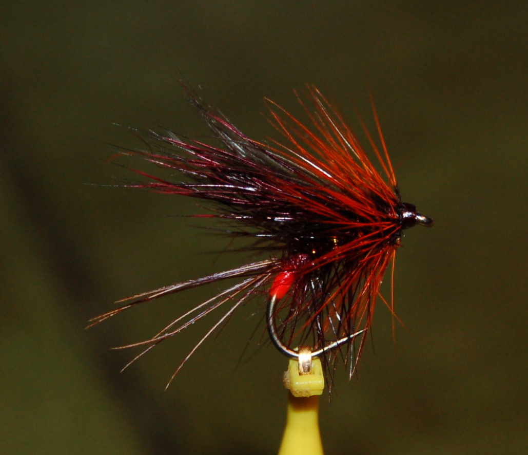 Foyle Trout & Salmon Flies A few more trout flies