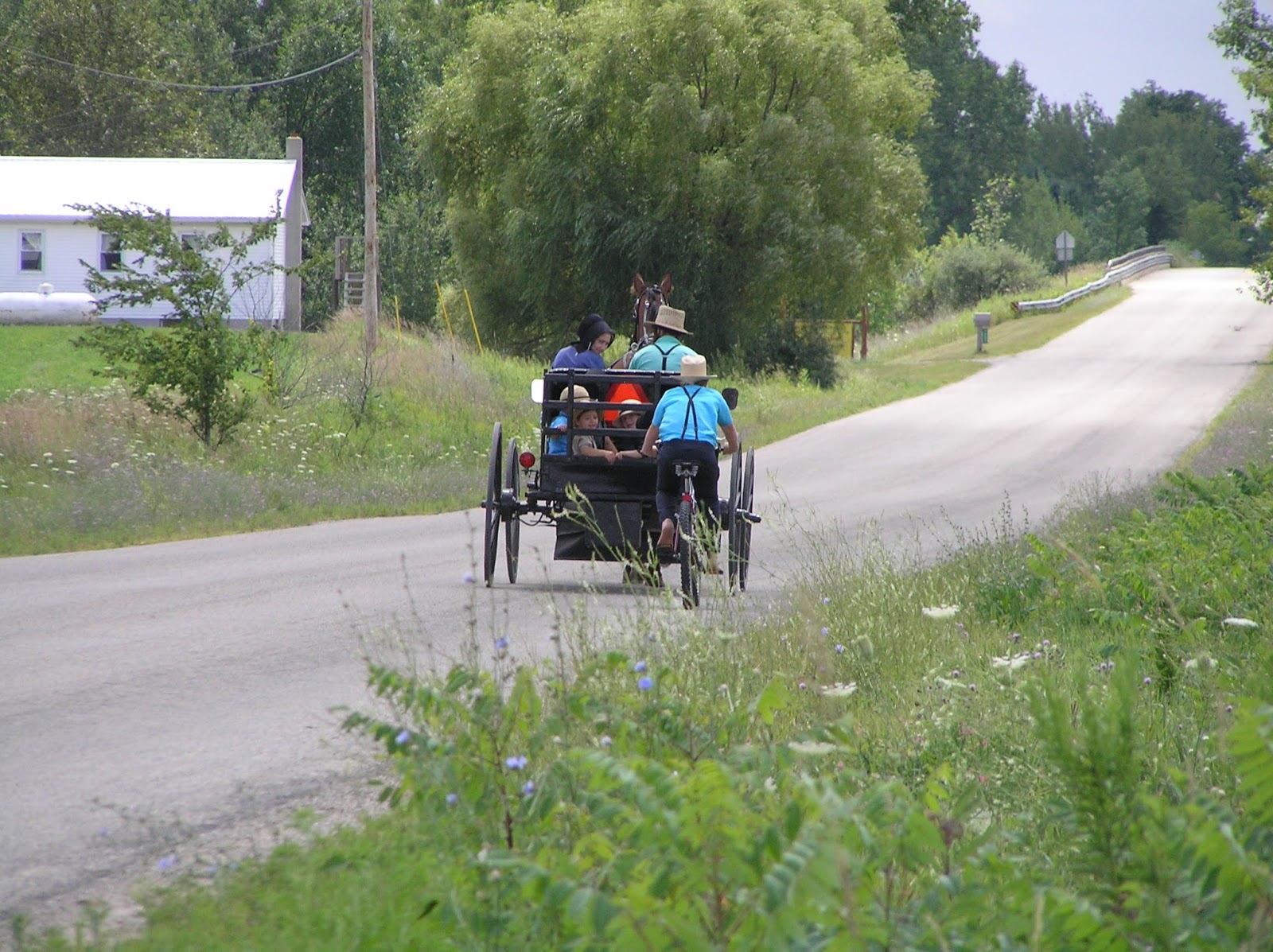 New York State of Mind AMISH PICTURES FROM CLARE REGION IN MICHIGAN