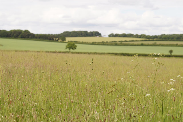 empty Norfolk countryside