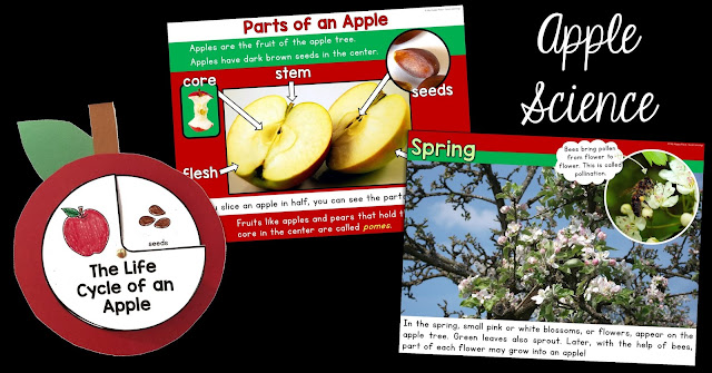 Apple Life Cycle Wheel, Informational PowerPoint Slides