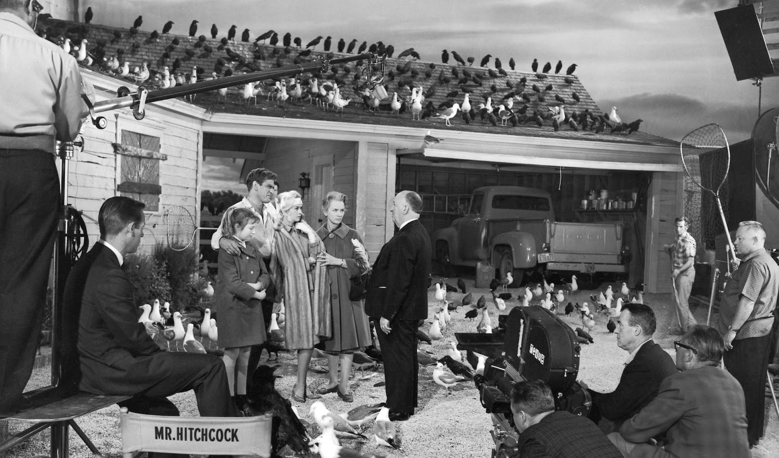 7 curiosidade sobre Os Pássaros, de Alfred Hitchcock | Blog 365 Filmes