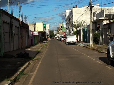 Maioria das ruas da área urbana de Parauapebas/PA possuem arborização deficiente. Falta de árvores nas ruas compromete e a saúde dos moradores. Foto: Dianes G. Marcelino. Parauapebas, arborização urbana de Parauapebas, arborização urbana, plano de arborização de Parauapebas, Pará, Parauapebas tem arborização deficitária, efeitos da arborização na saúde, como arborizar uma rua, como plantar árvore na calçada, arborização de calçadas, Parauapebas Pará, Sociedade Brasileira de arborização urbana, índice de arborização urbana, bairros de parauapebas