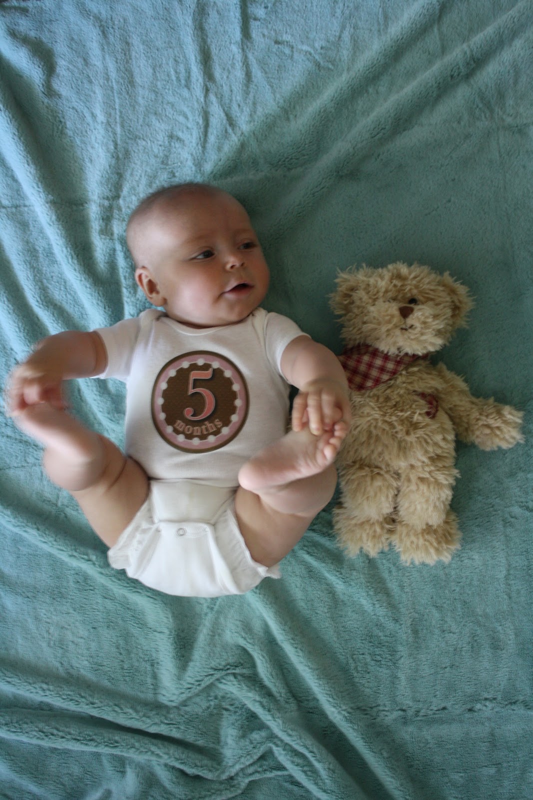 teddy bear for 6 month old