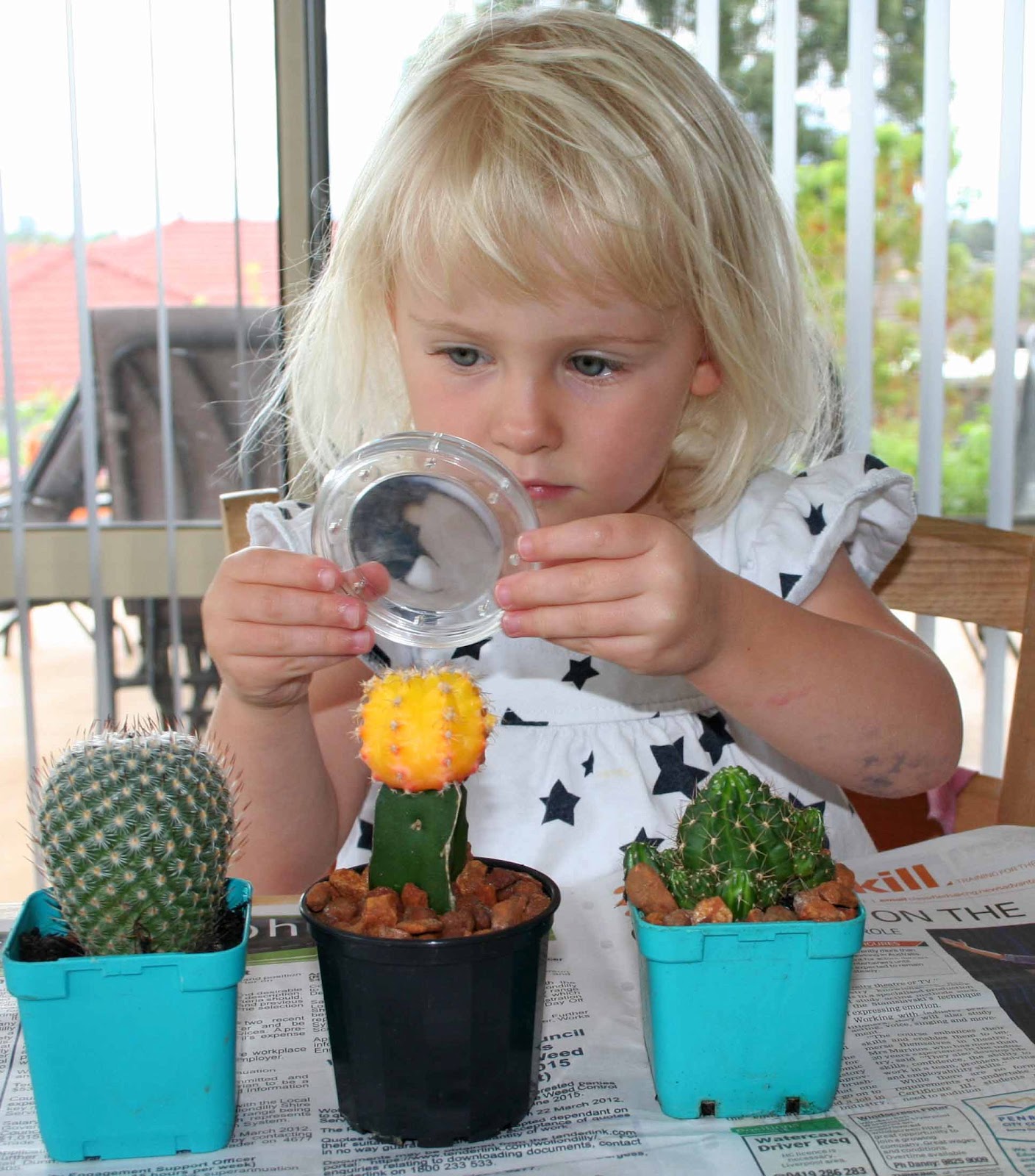 Creating and Educating Cacti Nature Study